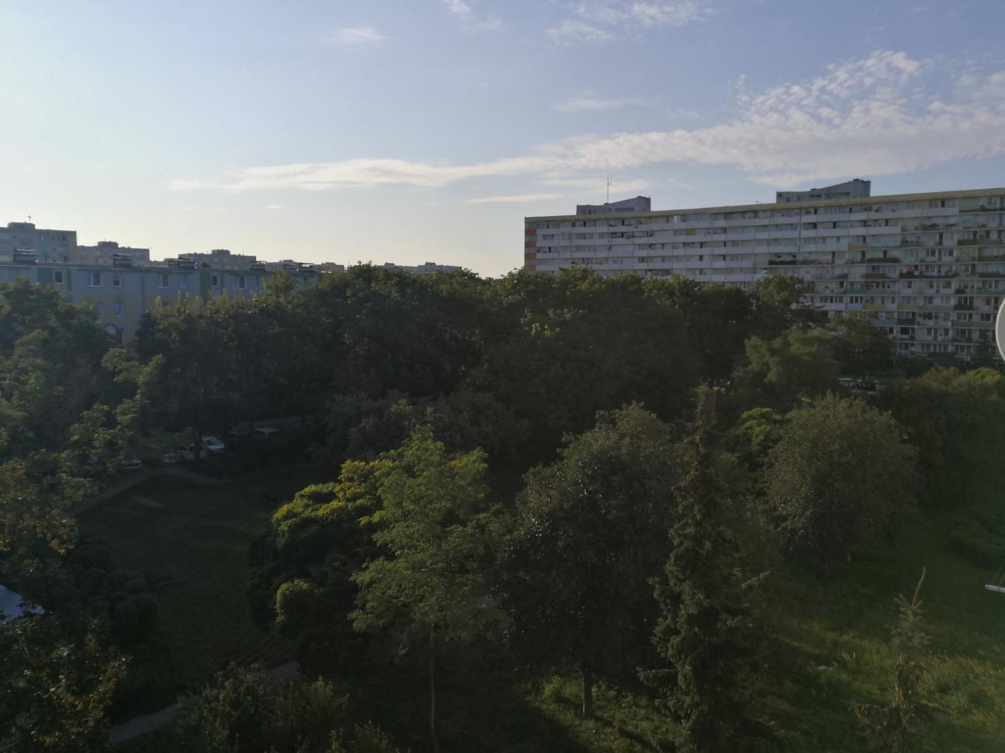 Dziupla Apartament *